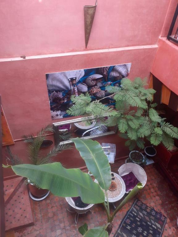 Riad Hanafi Marrakesh Exterior photo